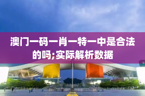 澳門一碼一肖一特一中是合法的嗎;實際解析數(shù)據(jù)液壓動力機械,元件制造