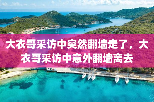 大液壓動力機(jī)械,元件制造衣哥采訪中突然翻墻走了，大衣哥采訪中意外翻墻離去