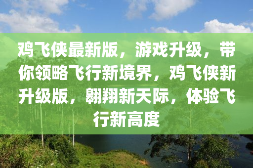 雞飛俠最新版，游戲升級(jí)，帶你領(lǐng)略飛行新境界，雞飛俠液壓動(dòng)力機(jī)械,元件制造新升級(jí)版，翱翔新天際，體驗(yàn)飛行新高度