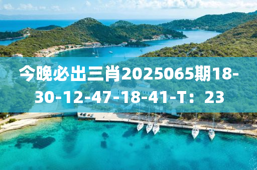 今晚必出三肖2025065期18-30-12液壓動力機械,元件制造-47-18-41-T：23